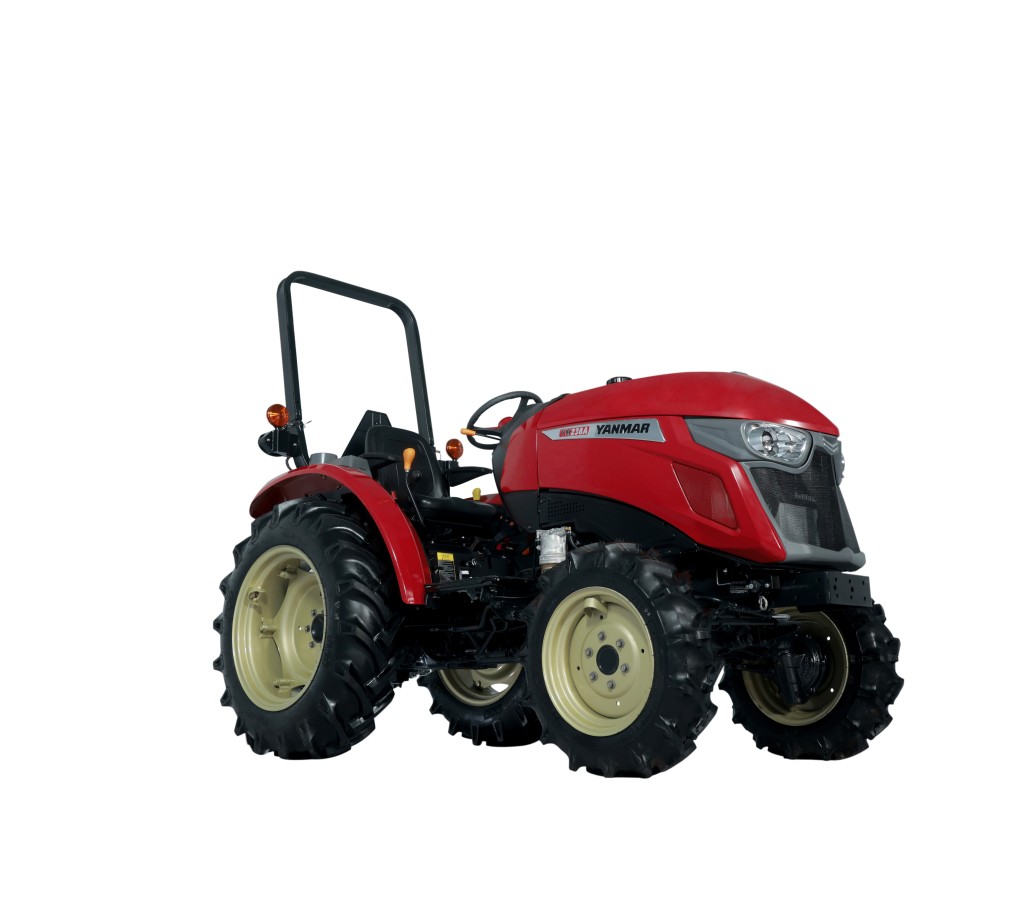YM238 - Image 11