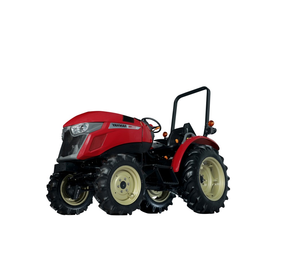 YM238 - Image 7